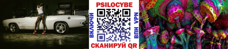 Галлюциногенные грибы Psilocybe  Купить закладки  Омутнинск 